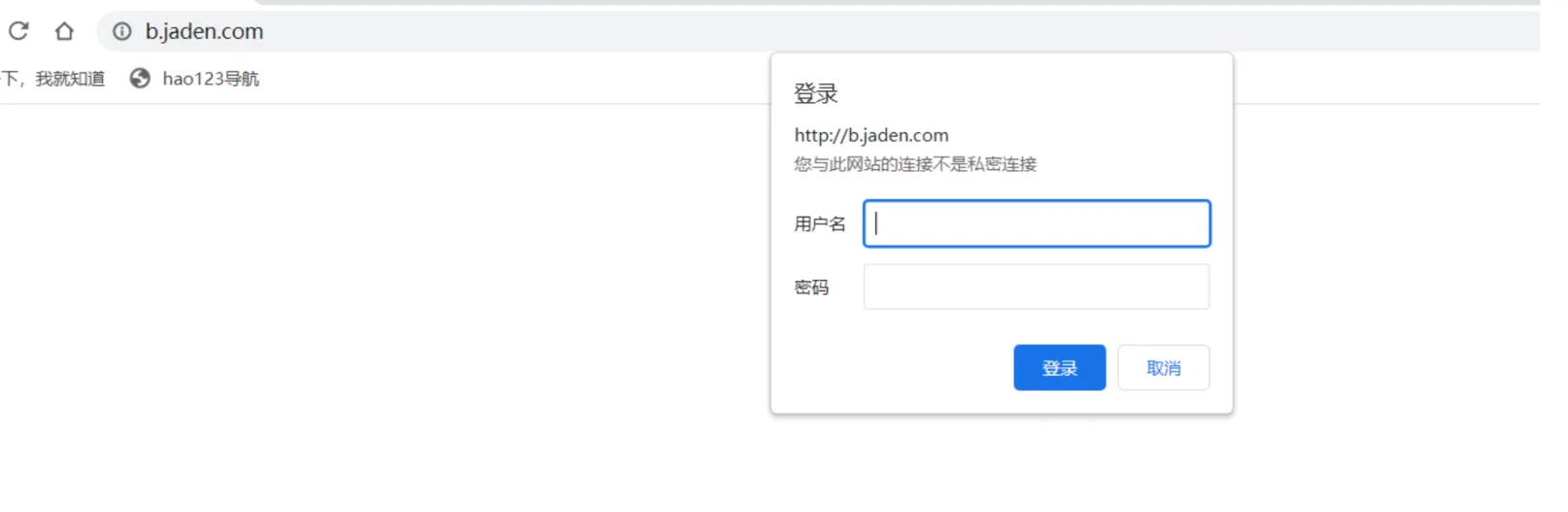 image-20250819225639026