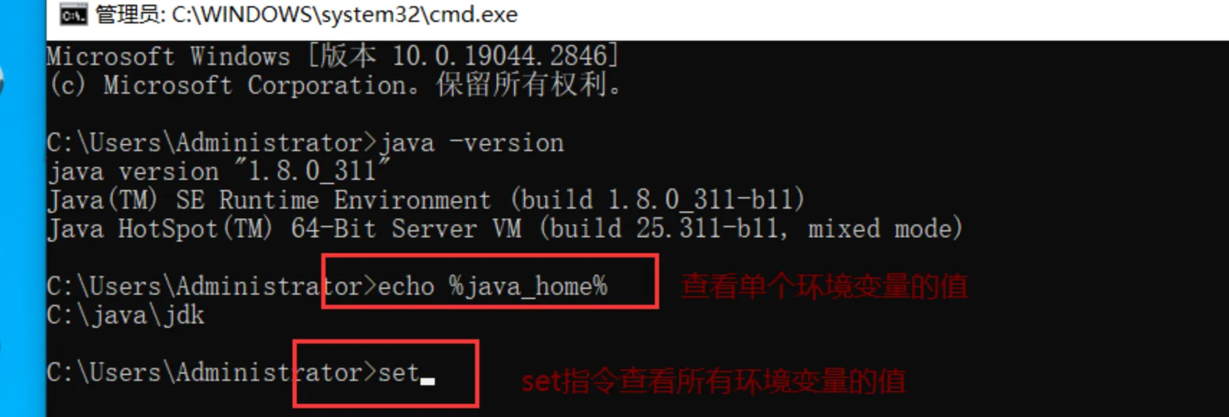 image-20250823152523439